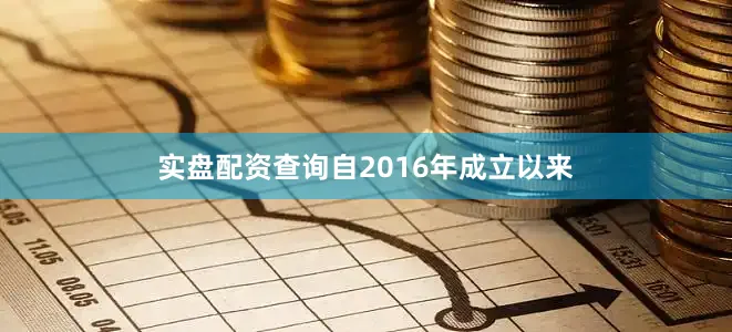 实盘配资查询自2016年成立以来