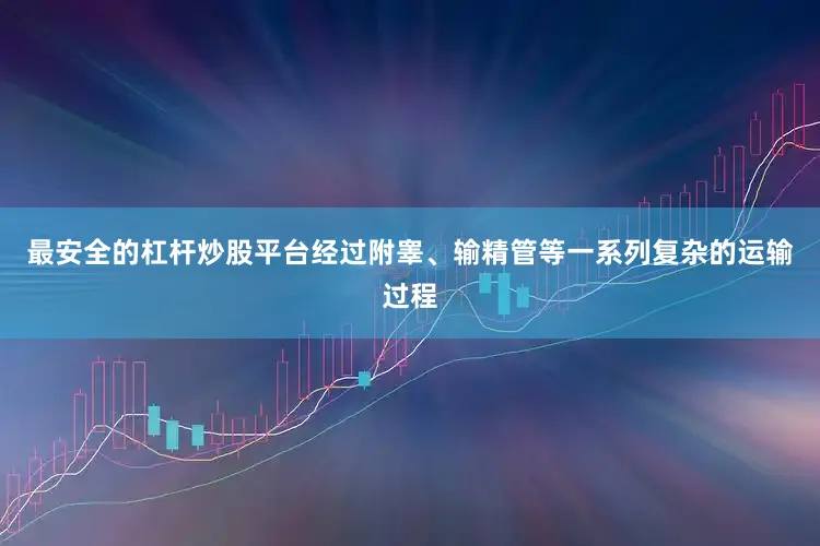 最安全的杠杆炒股平台经过附睾、输精管等一系列复杂的运输过程